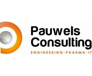 Pauwels Consulting